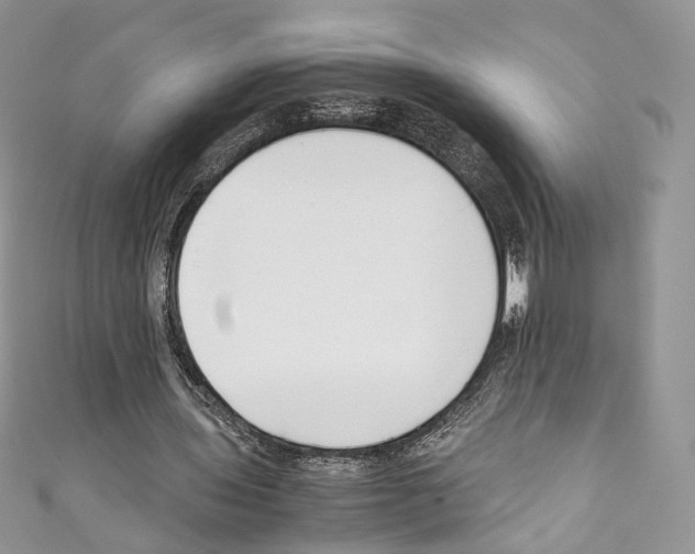 X0000110770435200907271207