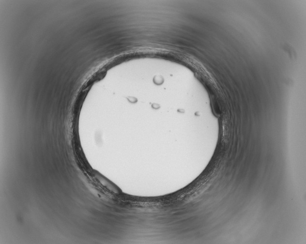 X0000110770436200907271208