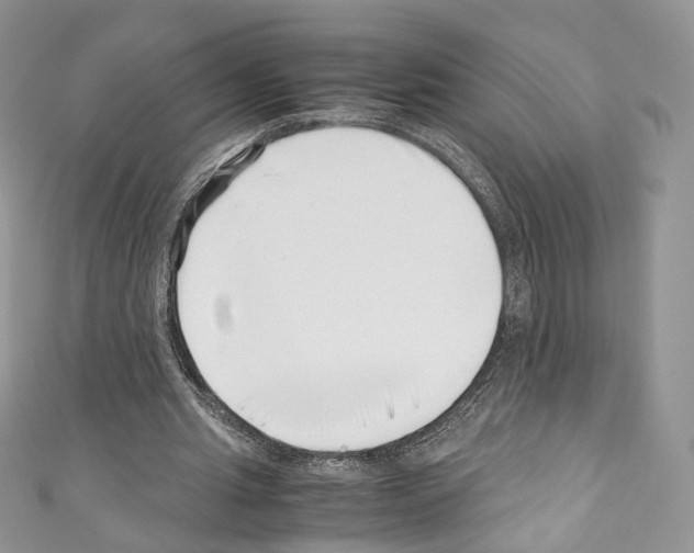 X0000110770437200907271208