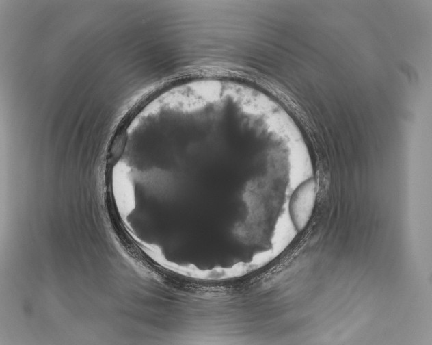 X0000110770438200907271208