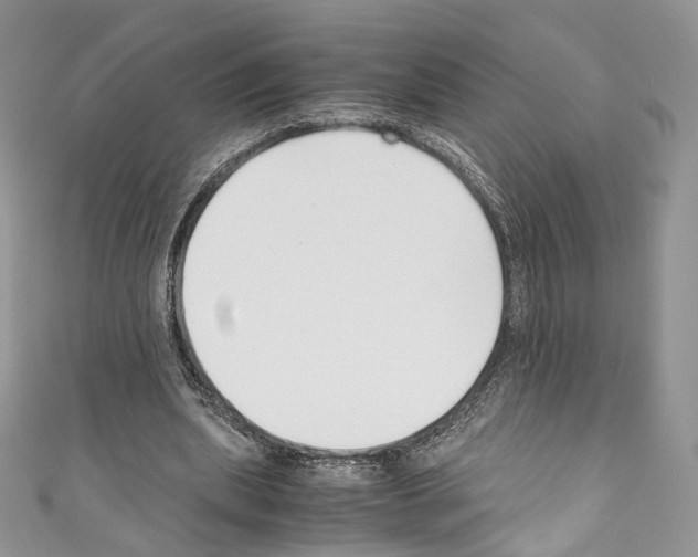 X0000110770439200907271208