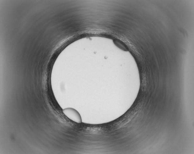 X0000110770440200907271208