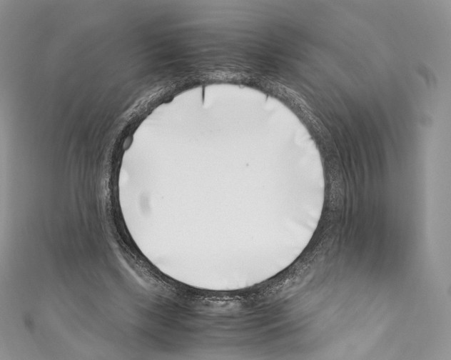 X0000110770443200907271208