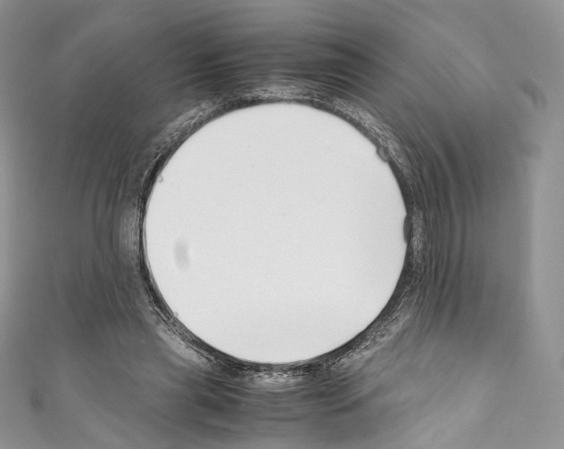 X0000110770445200907271208