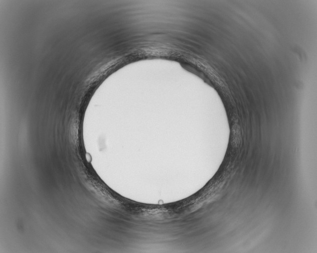 X0000110770446200907271208