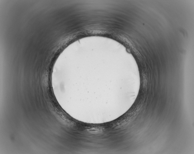 X0000110770447200907271208