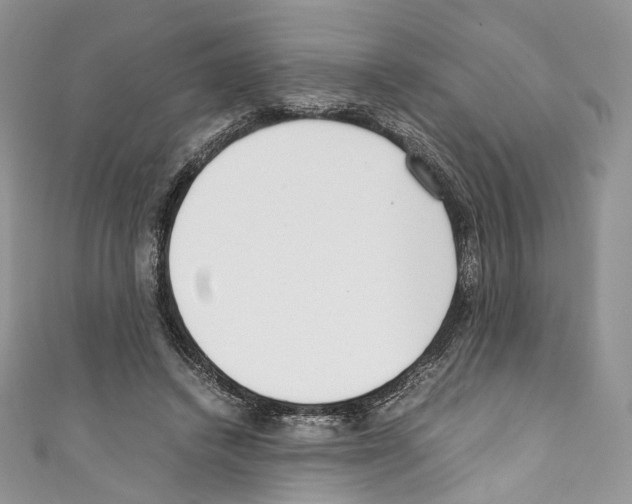 X0000110770448200907271208