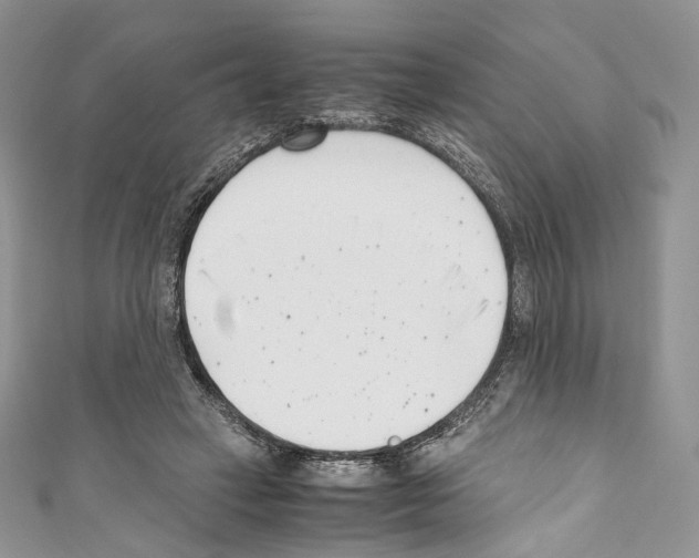 X0000110770449200907271208