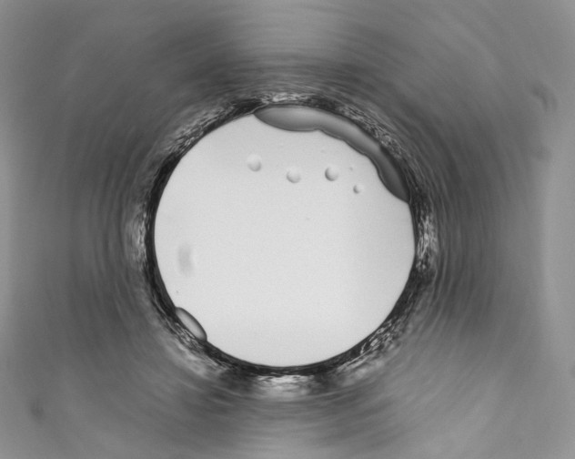 X0000110770452200907271208