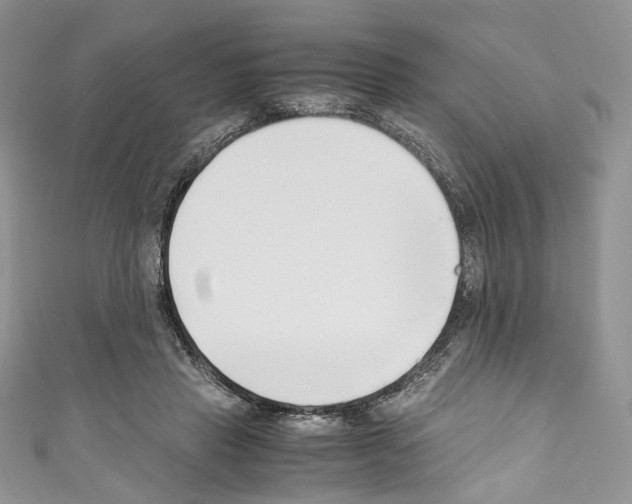 X0000110770453200907271208