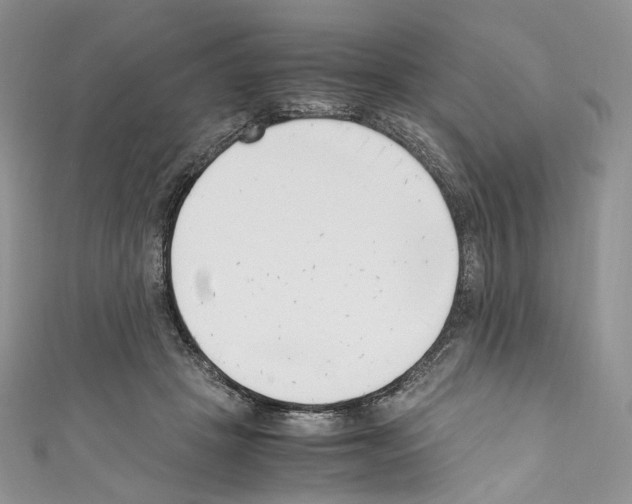 X0000110770457200907271208