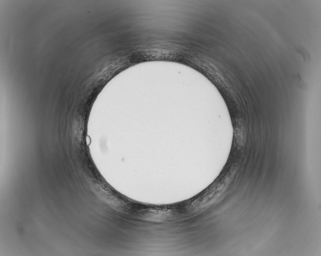 X0000110770458200907271208