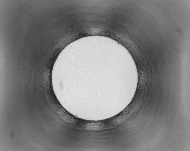 X0000110770461200907271208