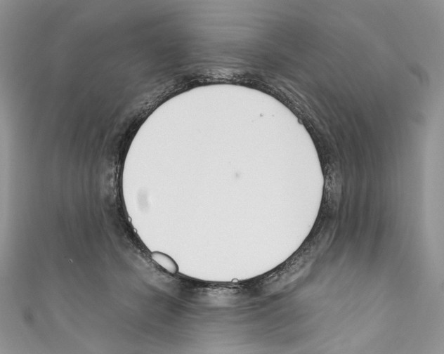 X0000110770462200907271208