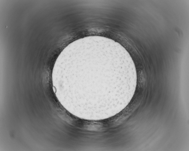 X0000110770463200907271208