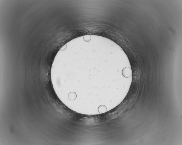 X0000110770464200907271208