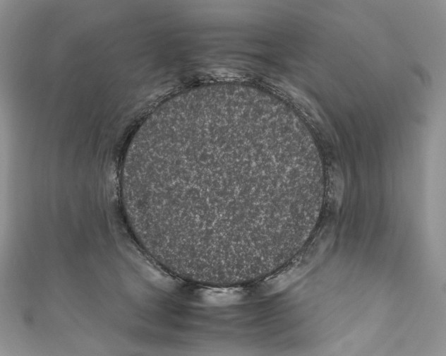 X0000110770465200907271208