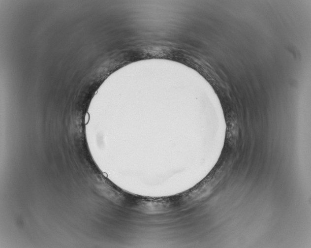 X0000110770466200907271208