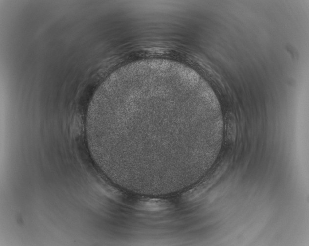 X0000110770467200907271208