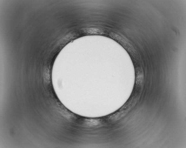 X0000110770469200907271208