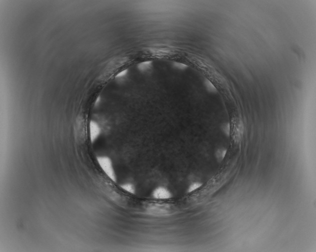 X0000110770471200907271208