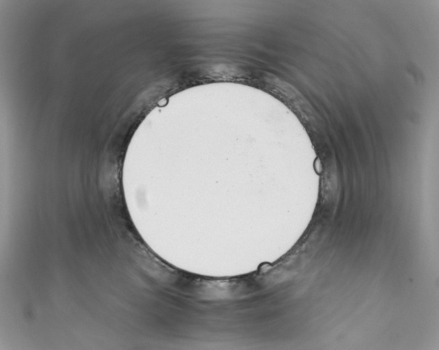 X0000110770473200907271208