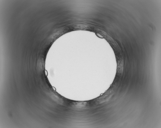 X0000110770474200907271208