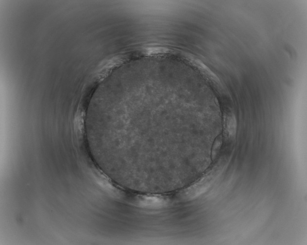 X0000110770475200907271208