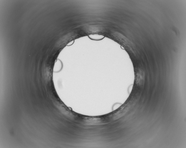 X0000110770476200907271208