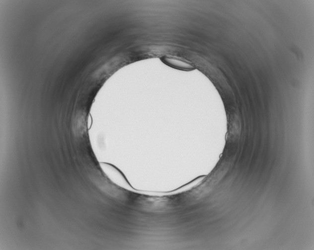 X0000110770478200907271208