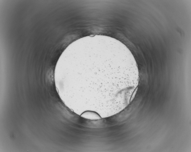 X0000110770479200907271208