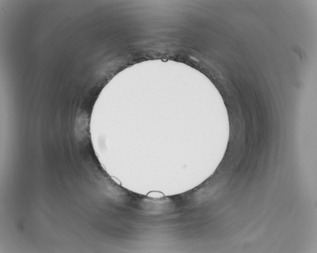 X0000110770480200907271208