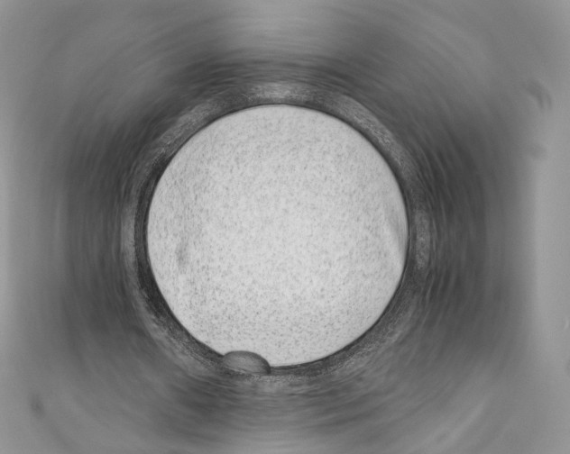 X0000110770482200907271207