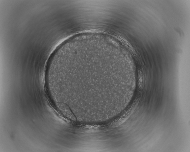 X0000110770484200907271207