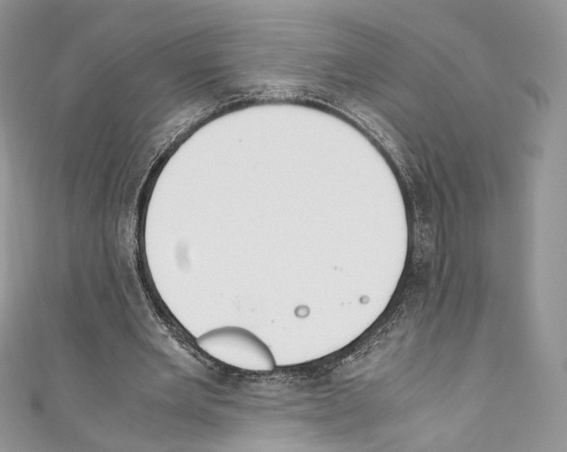 X0000110770485200907271207