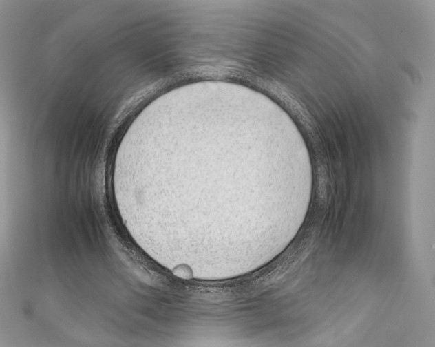 X0000110770486200907271207