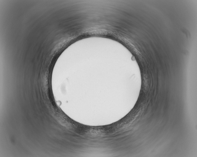 X0000110770487200907271207