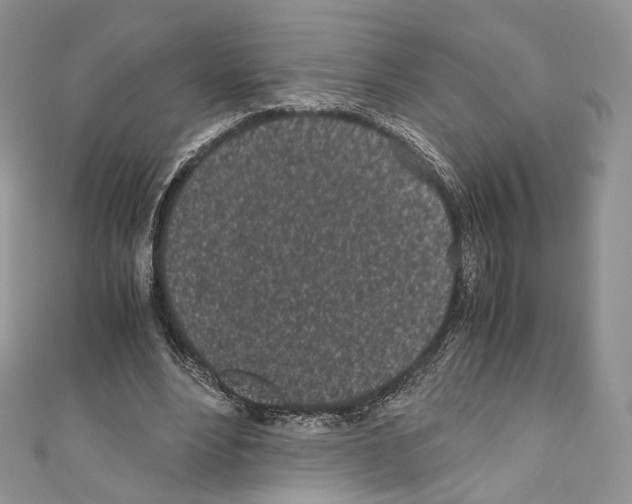 X0000110770488200907271207