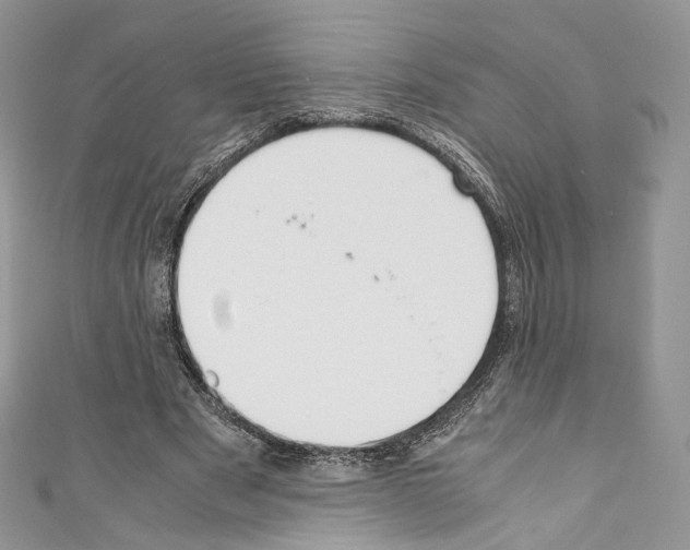 X0000110770489200907271207