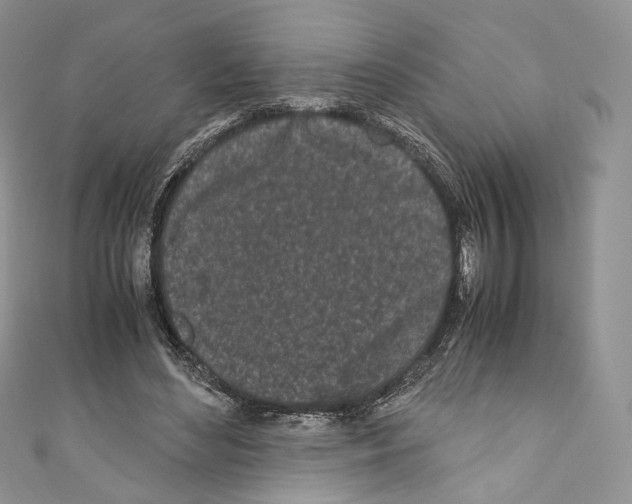 X0000110770492200907271207