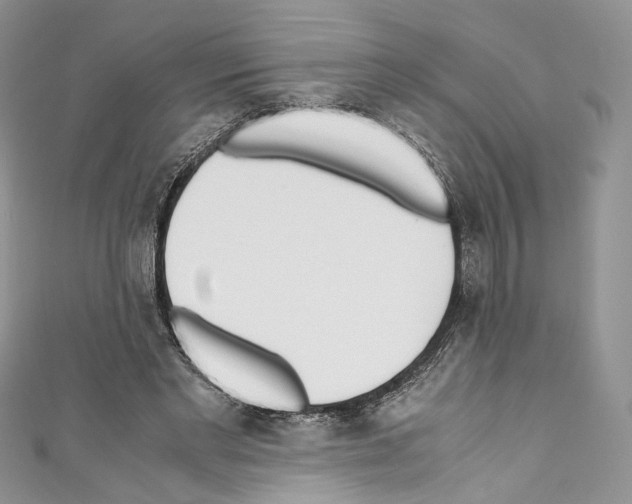 X0000110770493200907271207