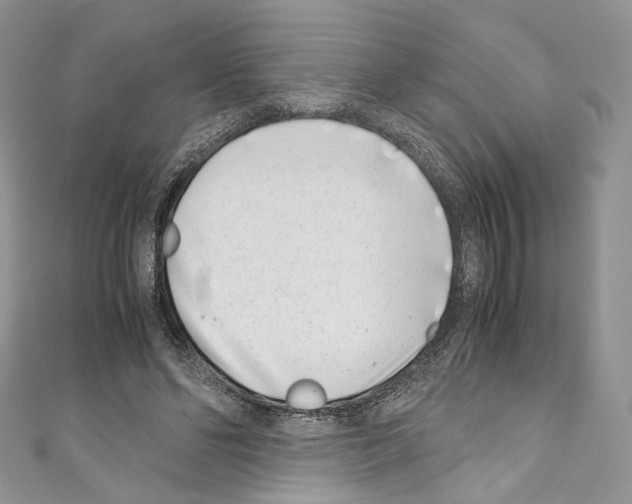 X0000110770494200907271207