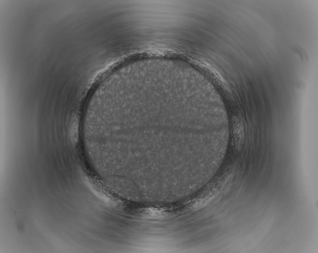 X0000110770496200907271207