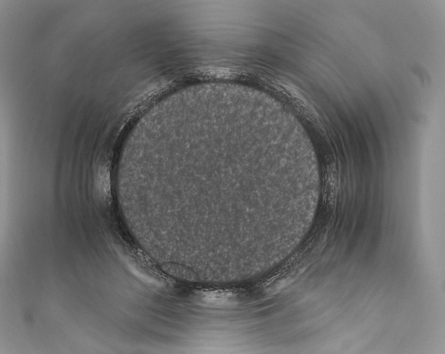 X0000110770500200907271207