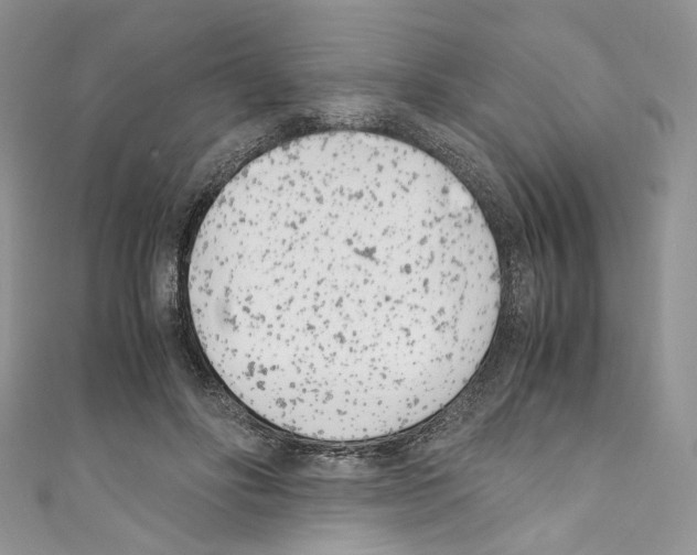 X0000110770502200907271207