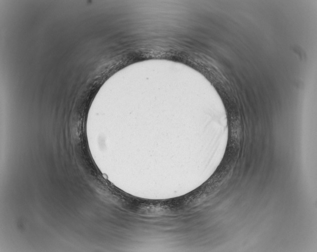 X0000110770503200907271207