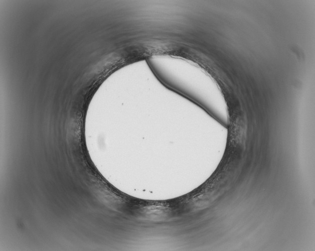 X0000110770505200907271207