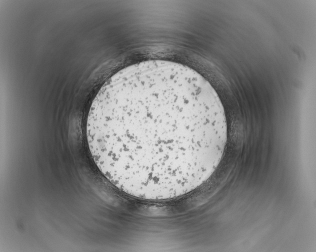 X0000110770506200907271207