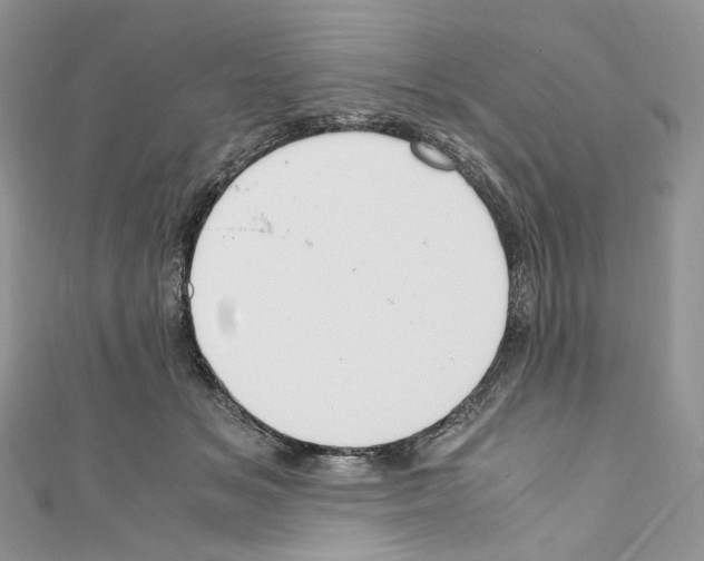 X0000110770509200907271207