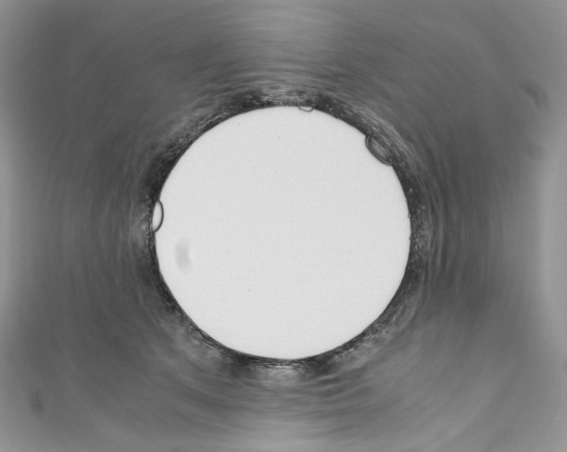 X0000110770513200907271207